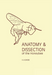 Anatomy & Dissection of the Honeybee