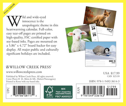 Baby Animals 2024 6.2 X 5.4 Box Calendar