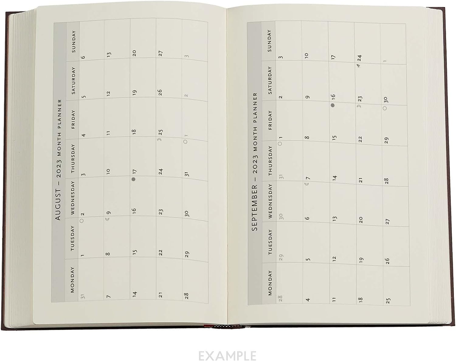 Destiny (Voltaire’s Book of Fate) Maxi Vertical Dayplanner 2023 (Elastic Band Closure)