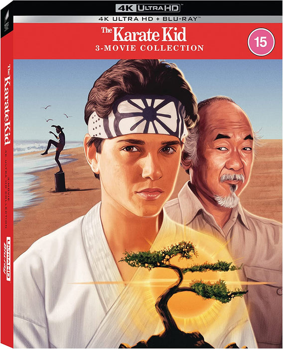 The Karate Kid/The Karate Kid 2/The Karate Kid 3