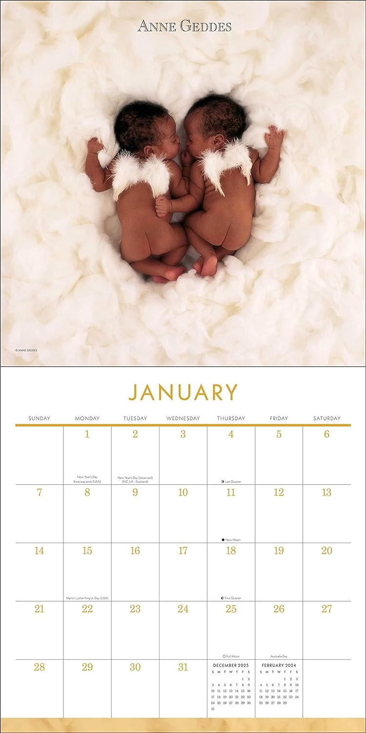 Anne Geddes 2024 Wall Calendar