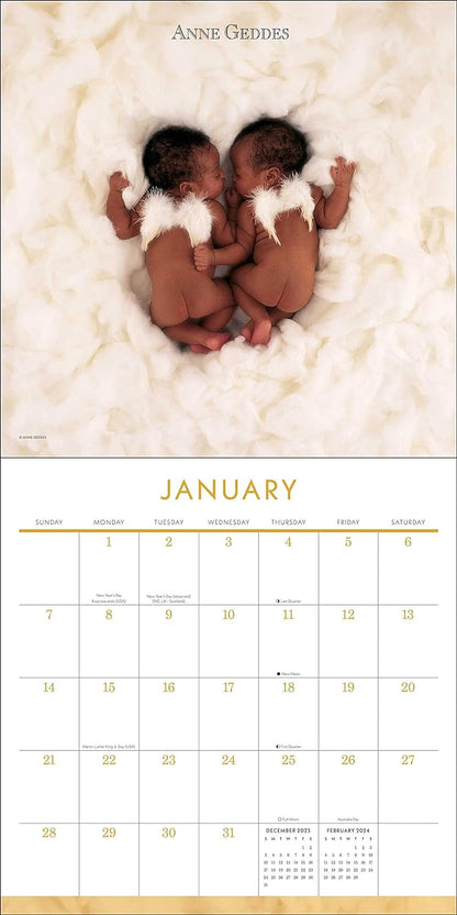 Anne Geddes 2024 Wall Calendar