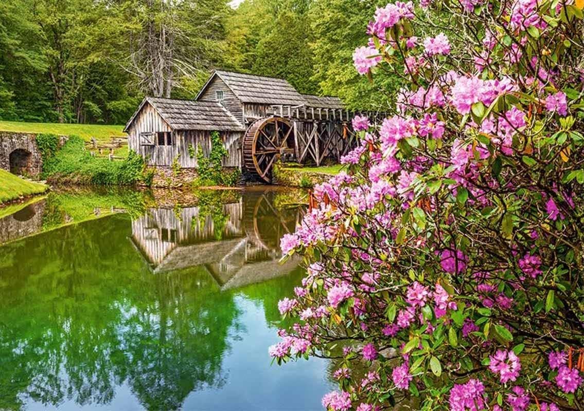 Castorland CSB53490 Jigsaw Puzzle