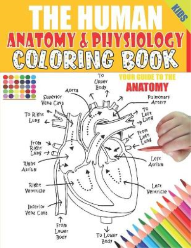 The Human Anatomy and Physiology Coloring Book