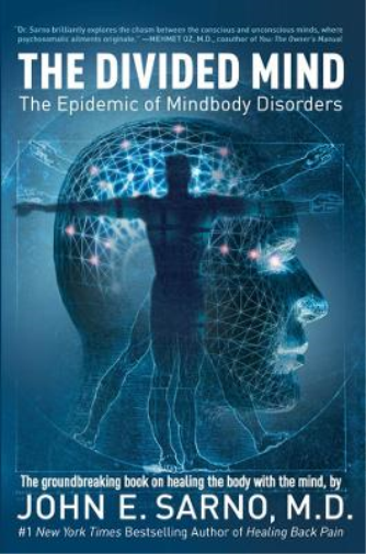 The Divided Mind