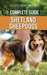 The Complete Guide to Shetland Sheepdogs