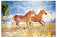 Veloflex 4651098 - Horse Desk Pad, 40 x 60 cm, Non-Slip, Washable, with Transparent Anti-Reflective Protective Film, Desk Pad, Painting Mat, Craft Mat, 1 Piece Horses