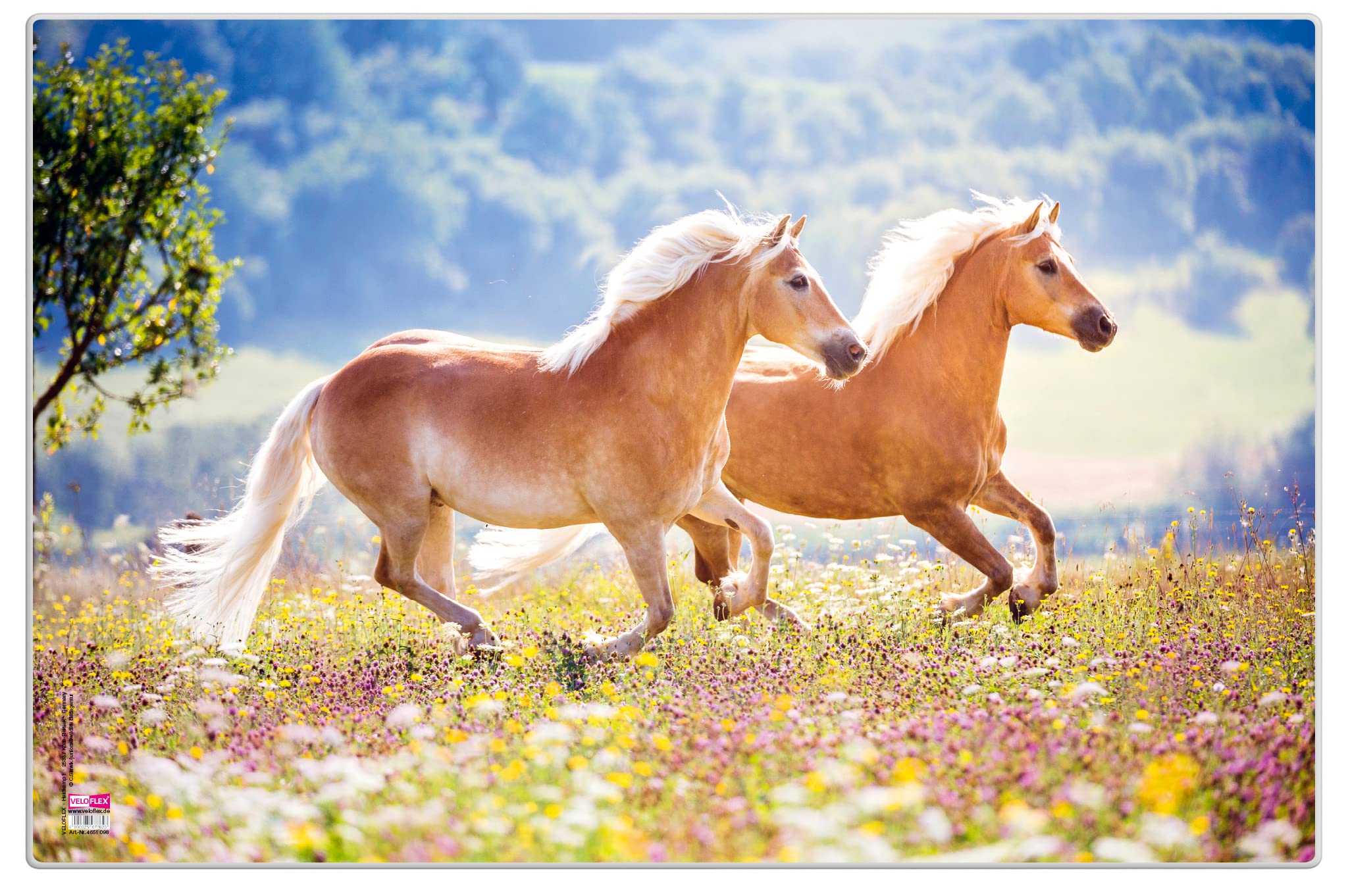 Veloflex 4651098 - Horse Desk Pad, 40 x 60 cm, Non-Slip, Washable, with Transparent Anti-Reflective Protective Film, Desk Pad, Painting Mat, Craft Mat, 1 Piece Horses