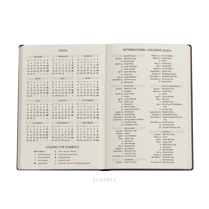 Moonlight (Olena’s Garden) Mini 12-month Dayplanner 2024