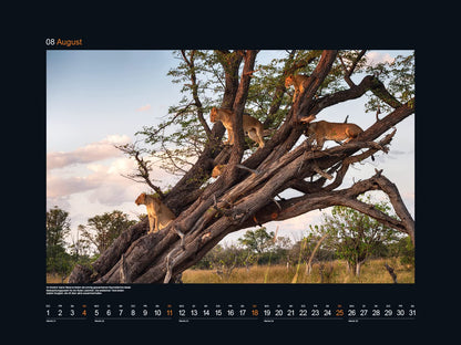 KUNTH Monats-Wandkalender Farben der Erde Afrika 2