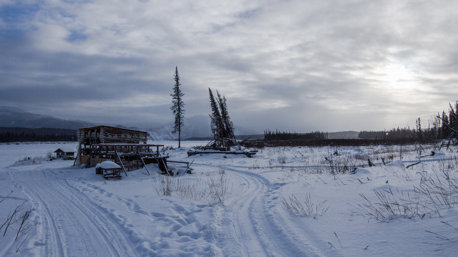 Life Below Zero° - Überleben in Alaska: Staffel 1 [3 DVDs]