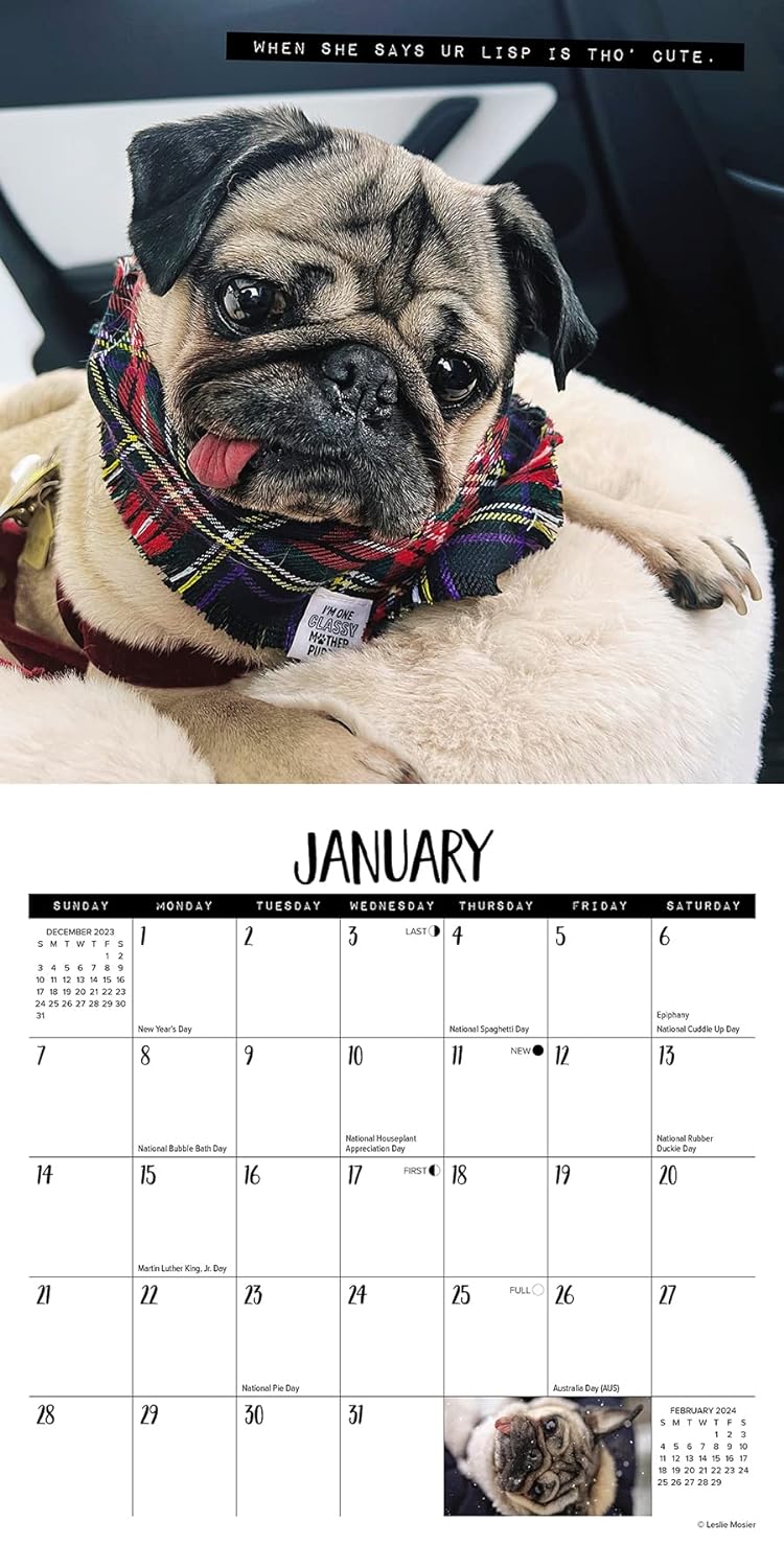Doug the Pug 2024 7 X 7 Mini Wall Calendar