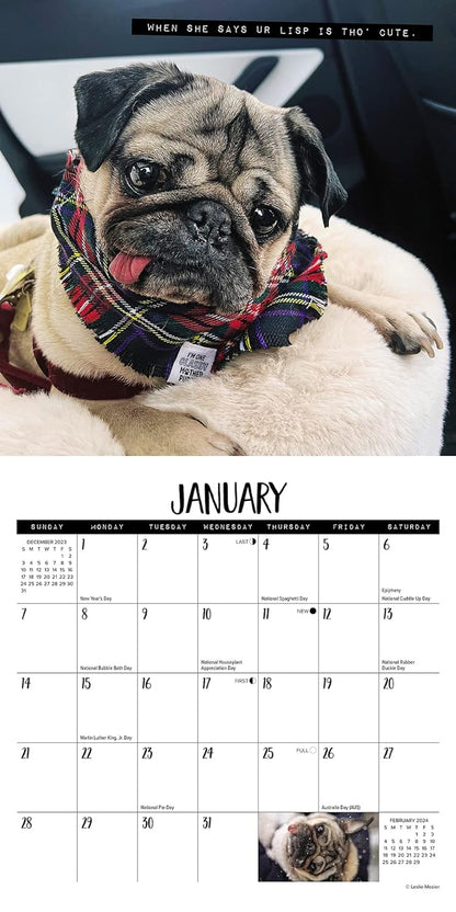 Doug the Pug 2024 7 X 7 Mini Wall Calendar
