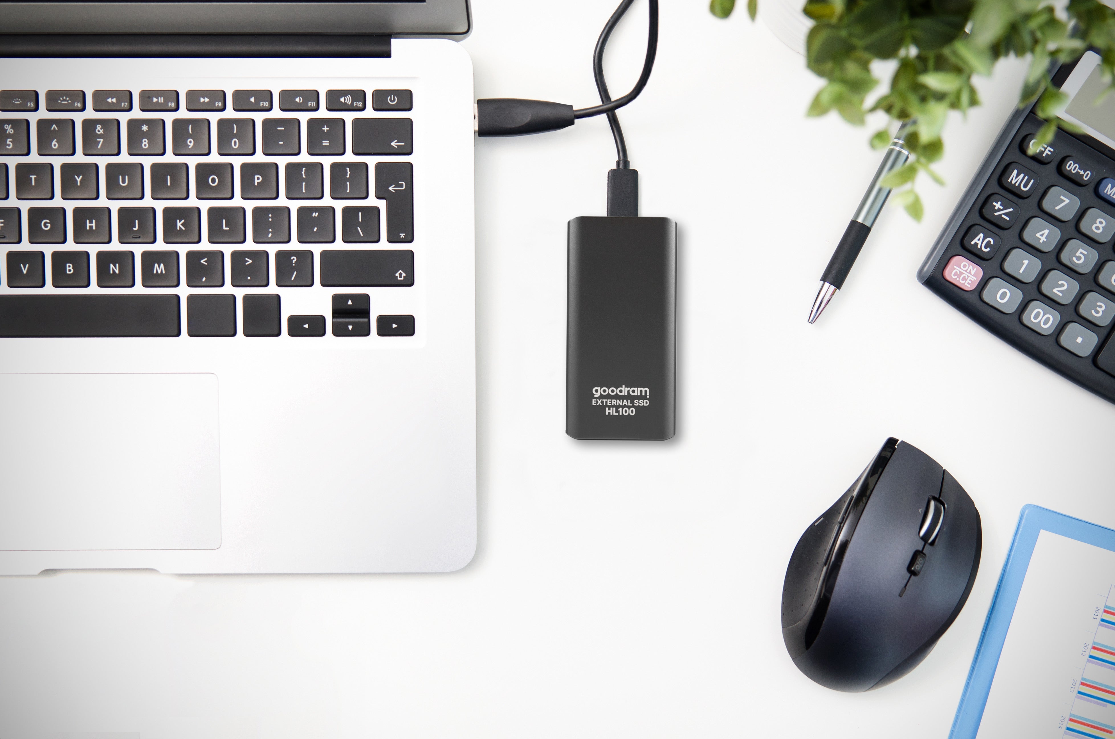 Goodram HL100 256 GB Grey