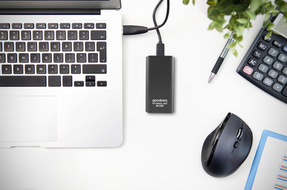 Goodram HL100 256 GB Grey