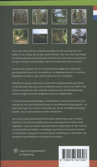 De Mooiste Boswandelingen Van Nederland