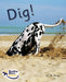 Dig