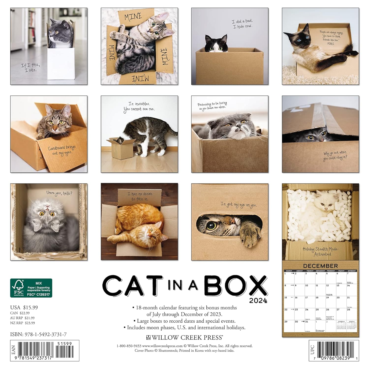 Cat in a Box 2024 12 X 12 Wall Calendar