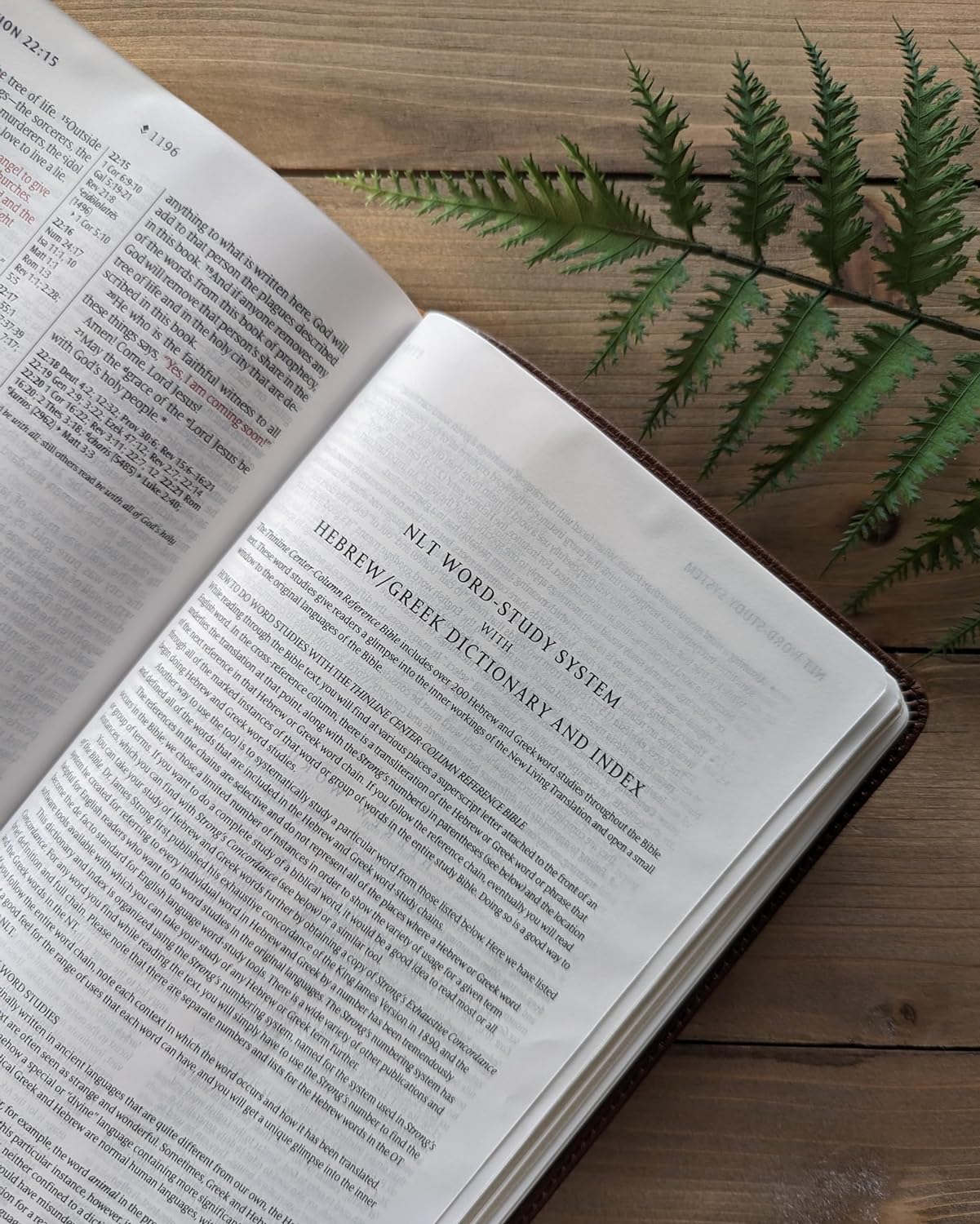 NLT Thinline Center-Column Reference Bible, Filament Edition