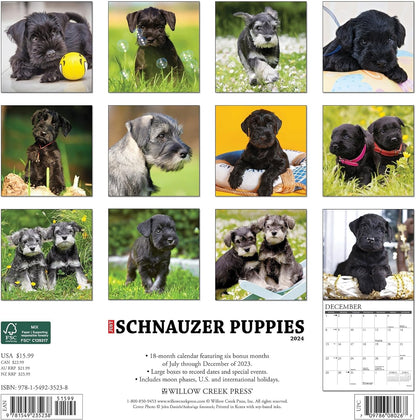 Just Schnauzer Puppies 2024 12 X 12 Wall Calendar