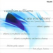 Sea Symphony, A (Spano, Atlanta So, Goerke, Polegato)