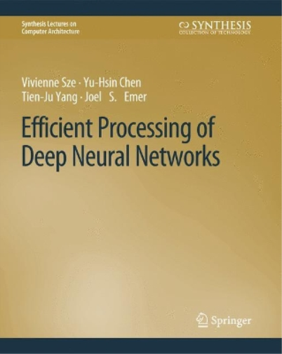 Efficient Processing of Deep Neural Networks