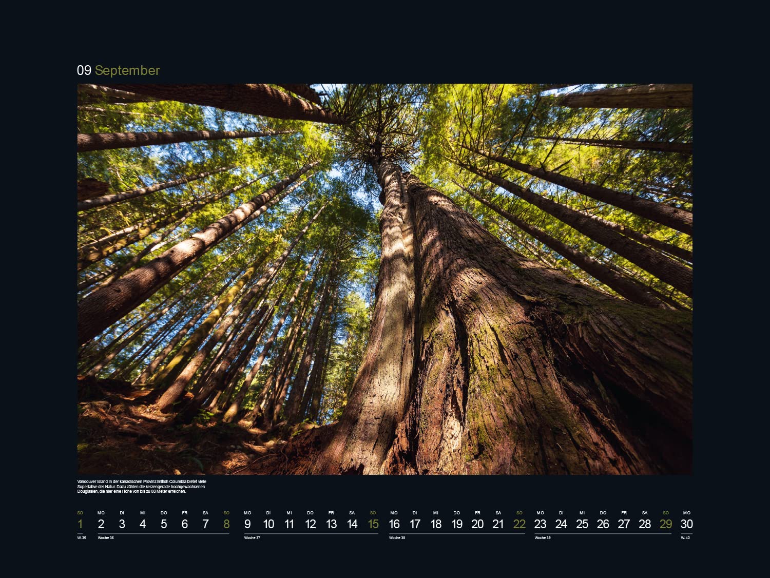 KUNTH Monats-Wandkalender Alte Baume - Sinnbild de