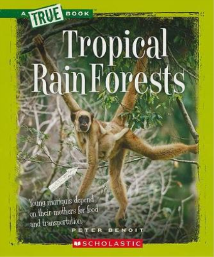 Tropical Rain Forests