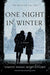 One Night in Winter