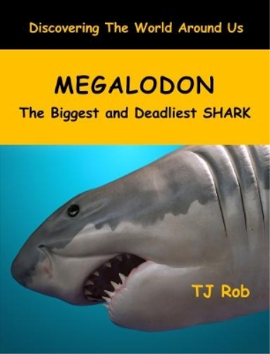 Megalodon