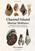 Channel Island Marine Molluscs
