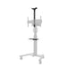 Neomounts by Newstar Select AFLS-825BL1 Halterunge