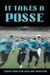 It Takes A Posse