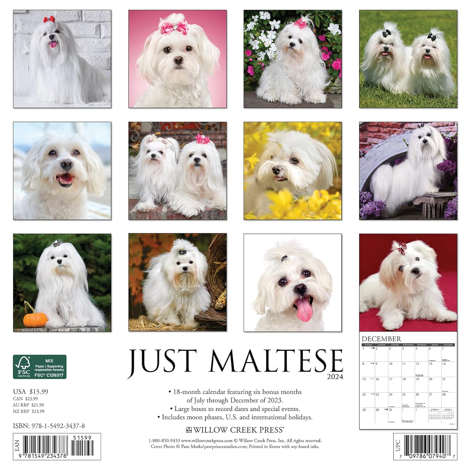 Just Maltese 2024 12 X 12 Wall Calendar