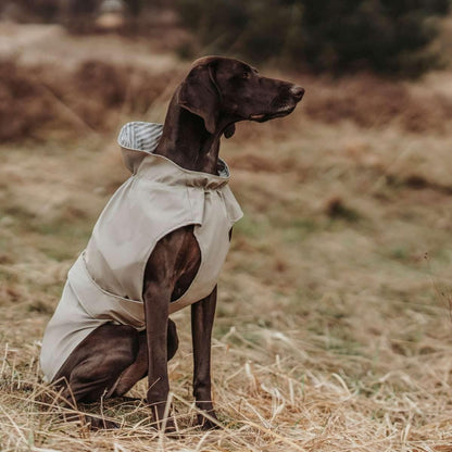Hunter - Raincoat For Dogs Milford 55, Taupe - (69679)