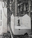 Laurie Lipton Drawing