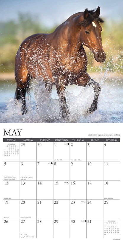 What Horses Teach Us 2024 12 X 12 Wall Calendar