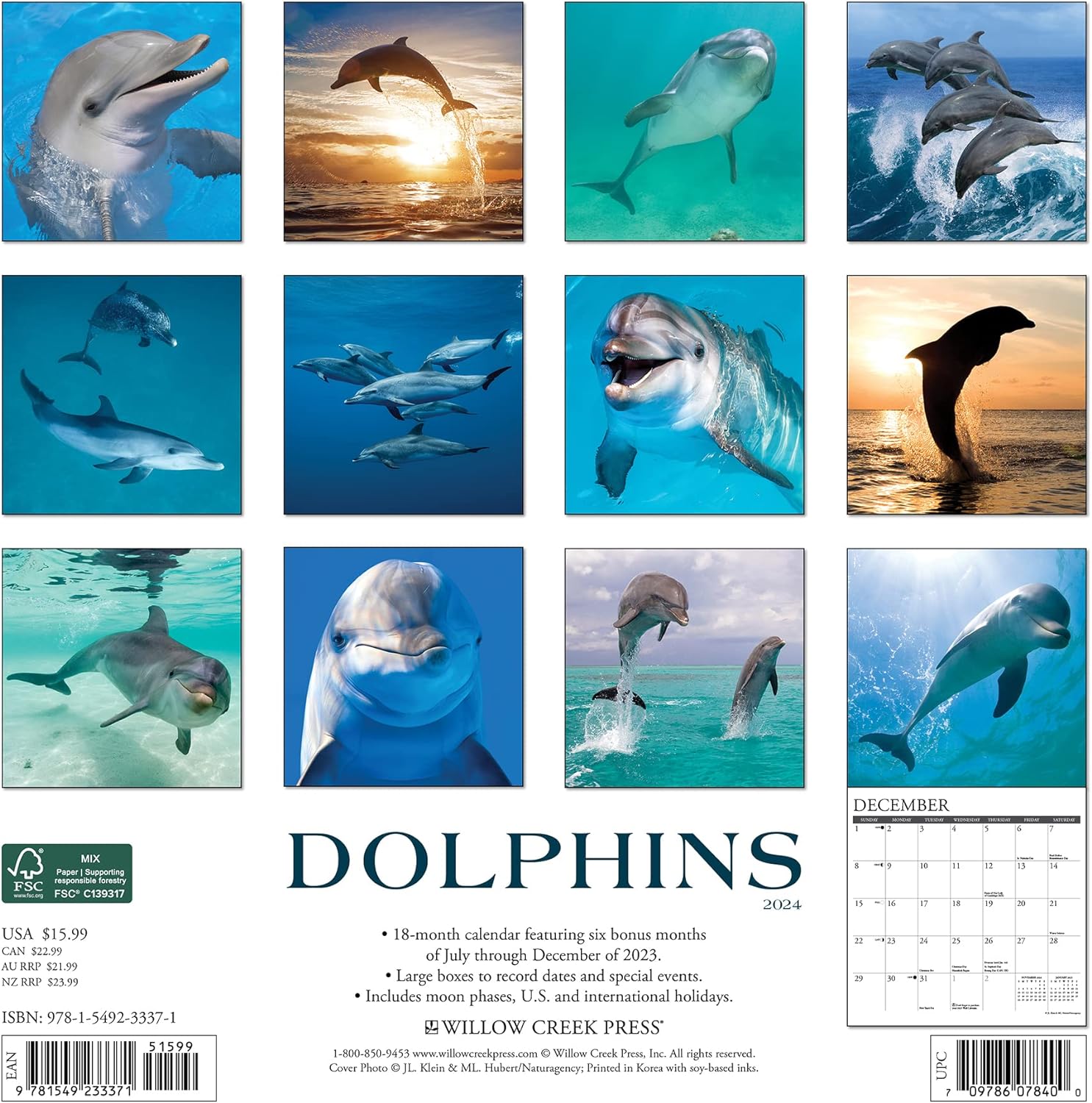 Dolphins 2024 12 X 12 Wall Calendar
