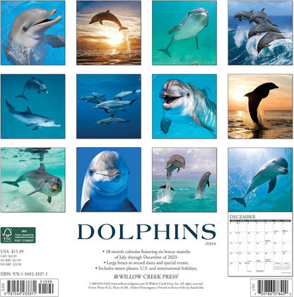 Dolphins 2024 12 X 12 Wall Calendar