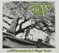 1039 / Smoothed Out Slappy Hours