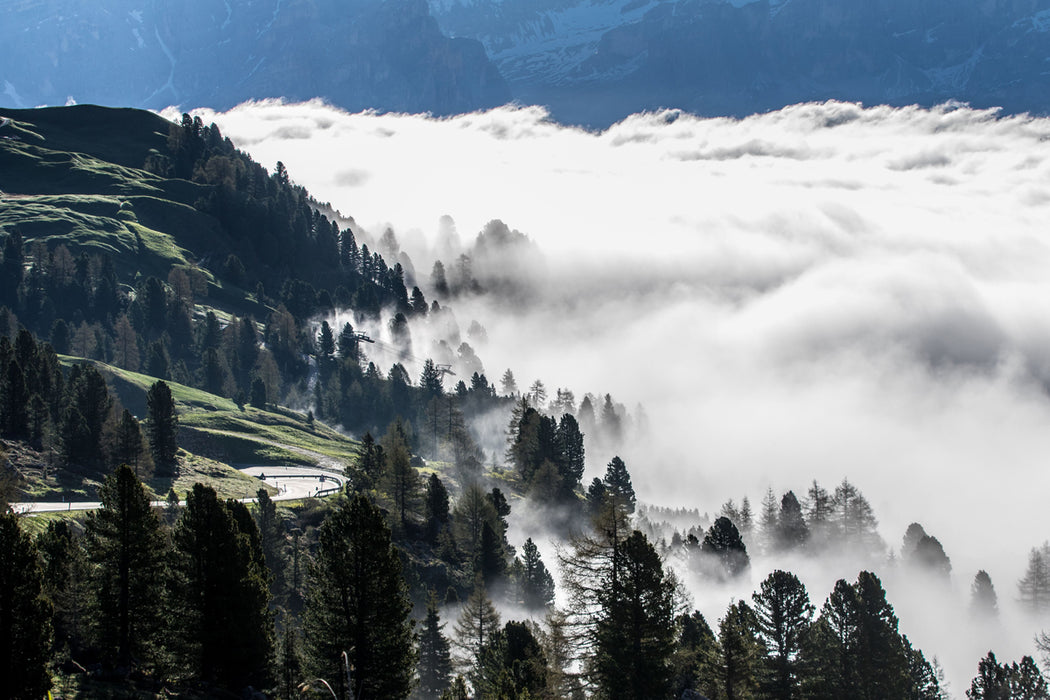 Continental GP5000 Road Race Clincher (Folding) - 650 x 25mm (25-584) Black