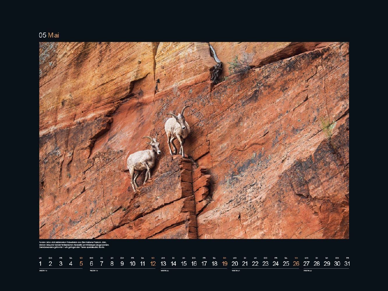 KUNTH Monats-Wandkalender Helden der Wildnis 2024