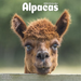 Alpacas 2023 Wall Calendar