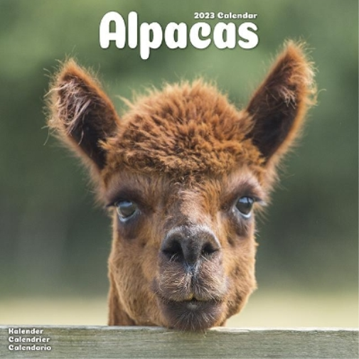 Alpacas 2023 Wall Calendar