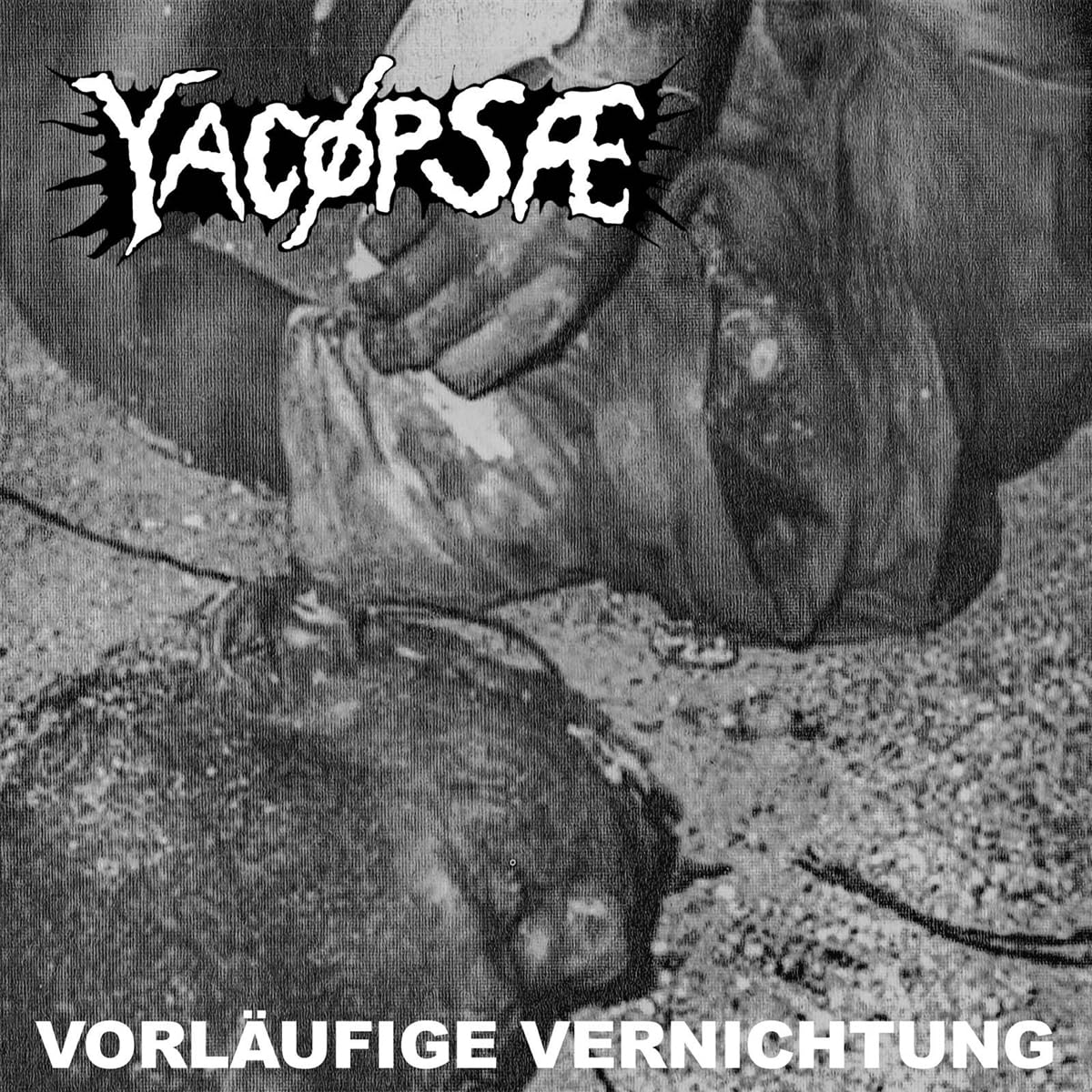 Vorläufige Vernichtung