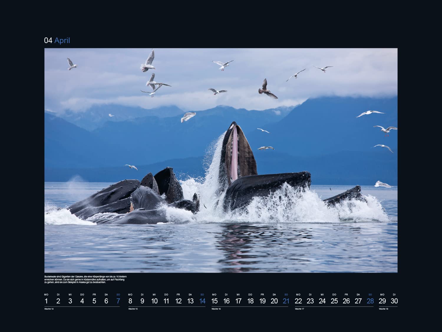 KUNTH Monats-Wandkalender Faszination Meer 2024