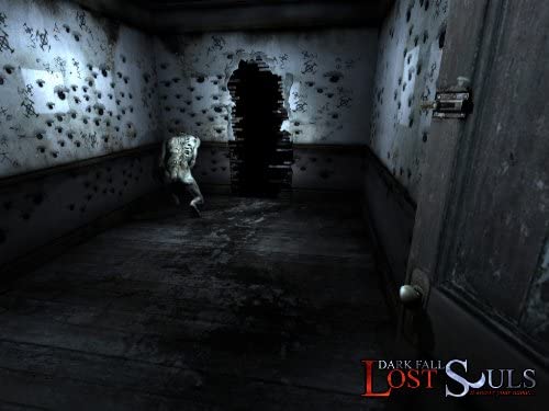 Dark Fall Lost Souls (PC DVD)