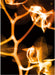 I burn (Fire Version)