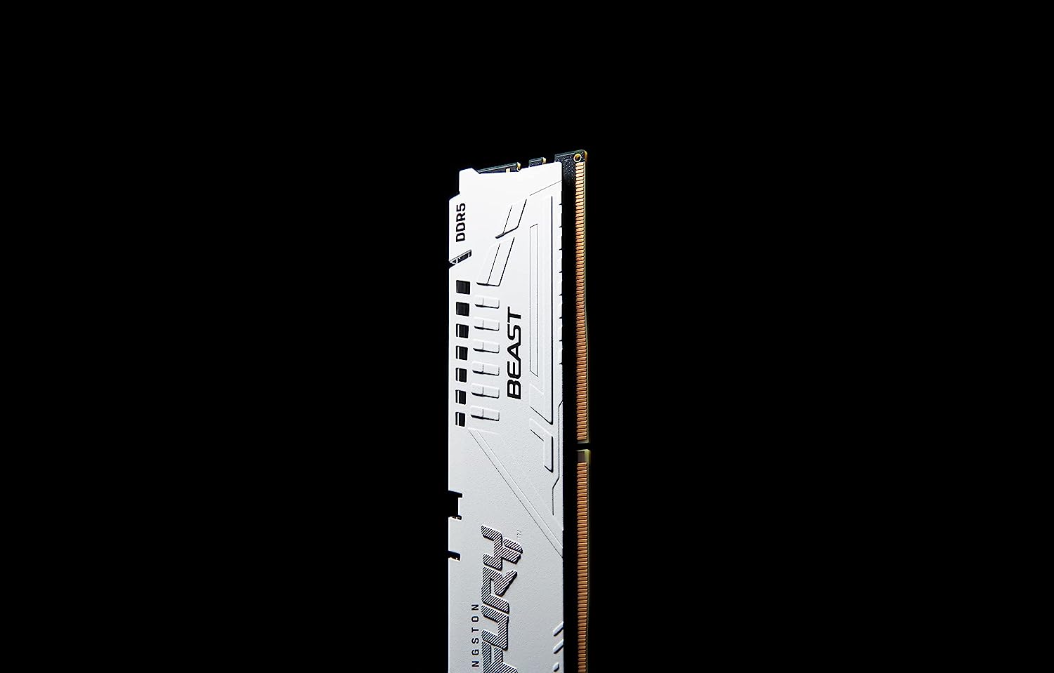 Kingston Technology FURY Beast memory module 16 GB 1 x 16 GB DDR5 5600 MHz