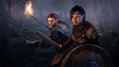 The Elder Scrolls Online Collection: Blackwood (PS4) PlayStation 4 Standard